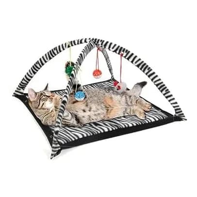 Delry Cat Play Tent 2