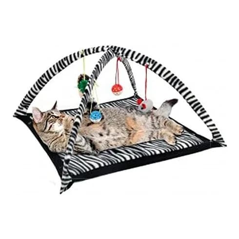 Bulk Buys Zebra Print Cat Play Tent with Dangle Toys, Pack of 2 2