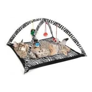 Bulk Buys Zebra Print Cat Play Tent with Dangle Toys, Pack of 4